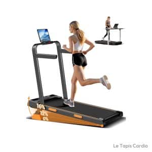 LONTEK 3.0HP Tapis de Marche Pliable Inclinable 16%,Accoudoirs Réglables Noir