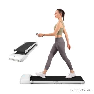 WALKINGPAD Tapis de Marche 6 km h