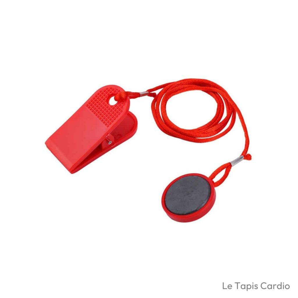 SinChic Clé de sécurité magnétique 3,1 cm