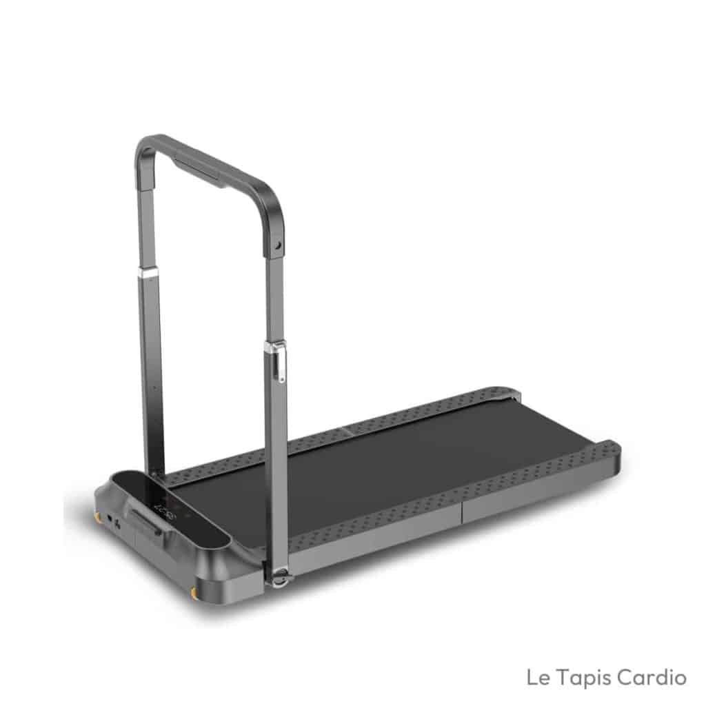 WALKINGPAD 2 in 1